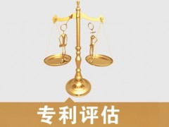 專利的價(jià)值評(píng)估，新手賣家必看