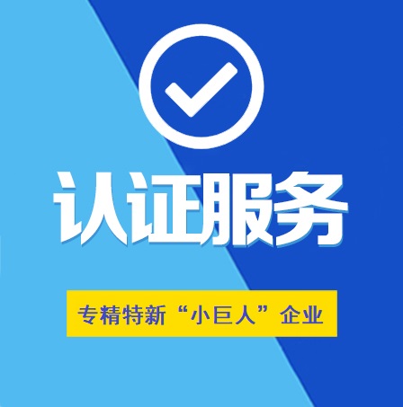 湖北省專精特新“小巨人”企業認定