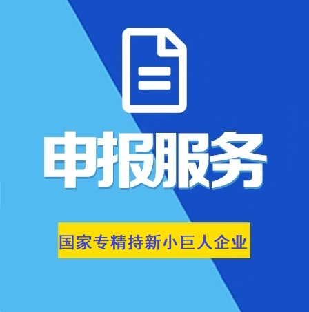 國家專精持新小巨人企業(yè)